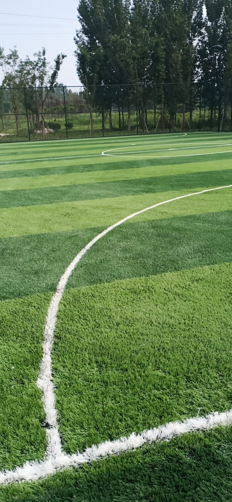 焦作市山阳区城东体育健身公园