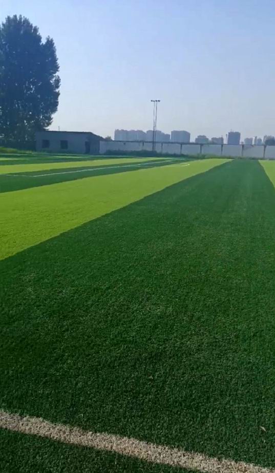 洛阳市洛龙区超聚艺体足球训练基地