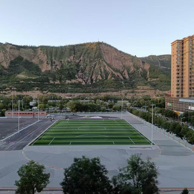 甘肃省平凉市广成学校七人制足球场