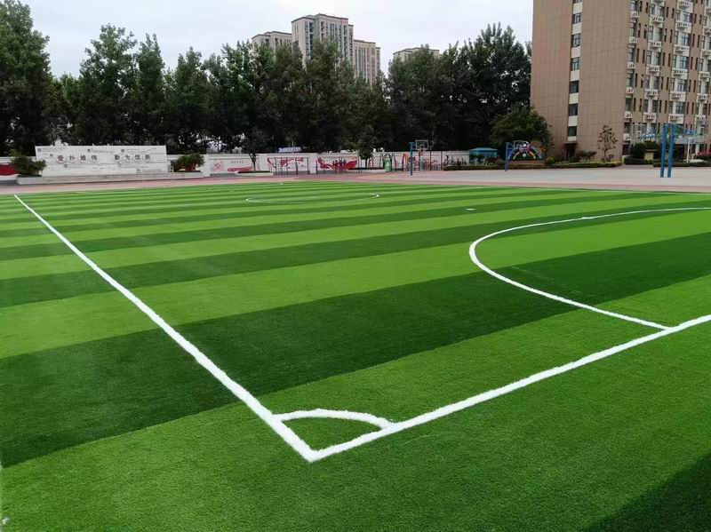 洛阳中成外国语学院五人制免冲沙足球场