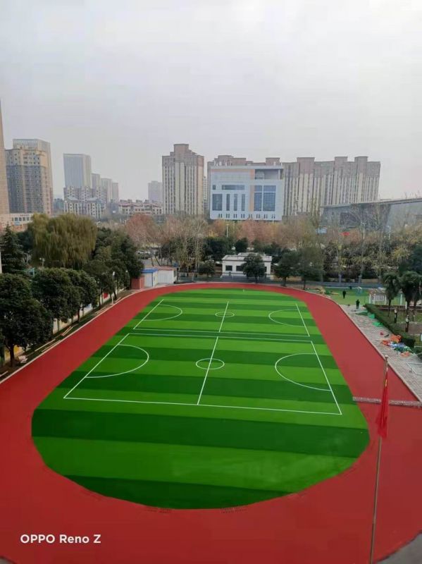 树人外国语学院