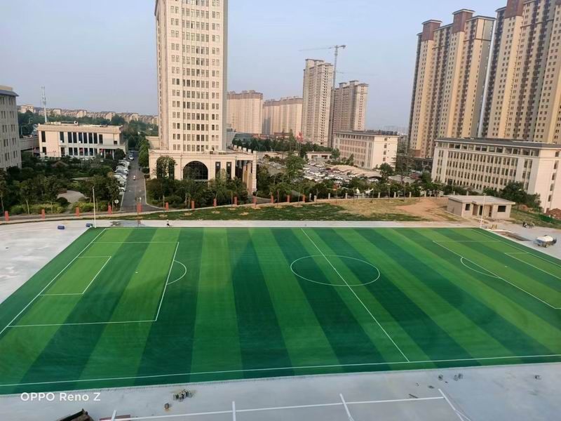 洛一高老城实验中学